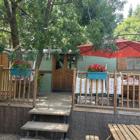 Roulotte En Bois Sud France Guest House Le Soler Екстериор снимка