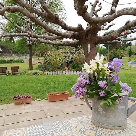 Roulotte En Bois Sud France Guest House Le Soler Екстериор снимка