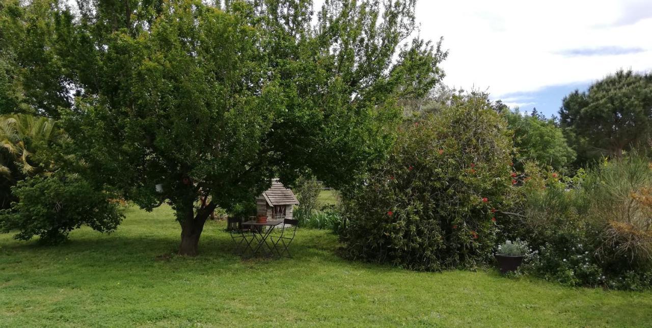 Roulotte En Bois Sud France Guest House Le Soler Екстериор снимка