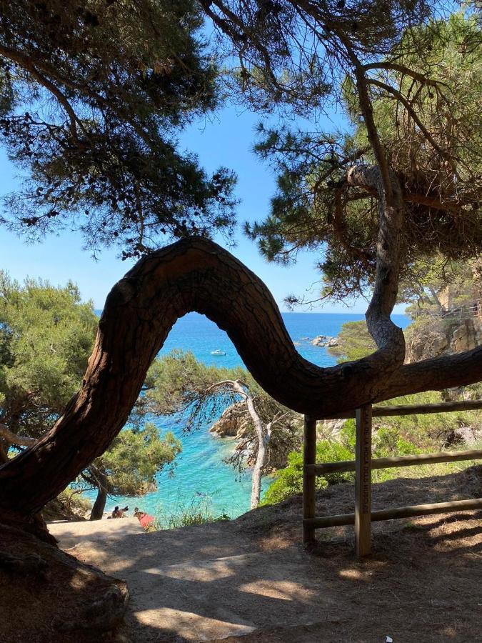 Roulotte En Bois Sud France Guest House Le Soler Екстериор снимка