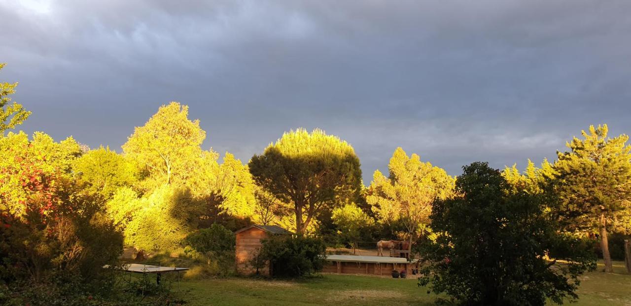 Roulotte En Bois Sud France Guest House Le Soler Екстериор снимка