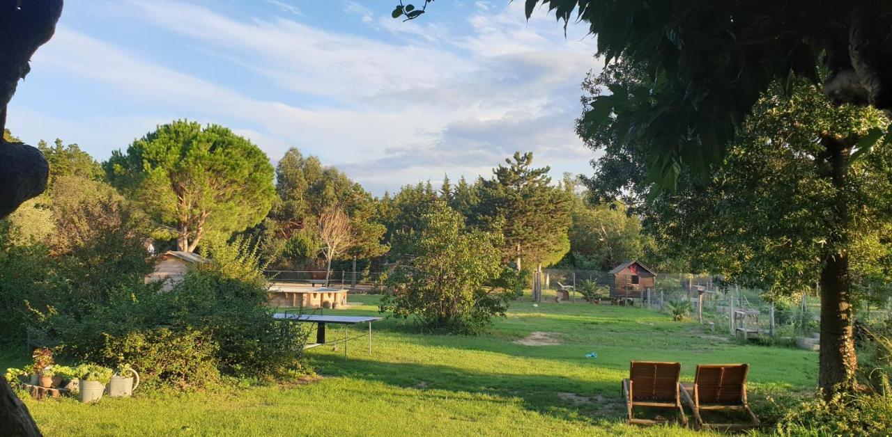 Roulotte En Bois Sud France Guest House Le Soler Екстериор снимка